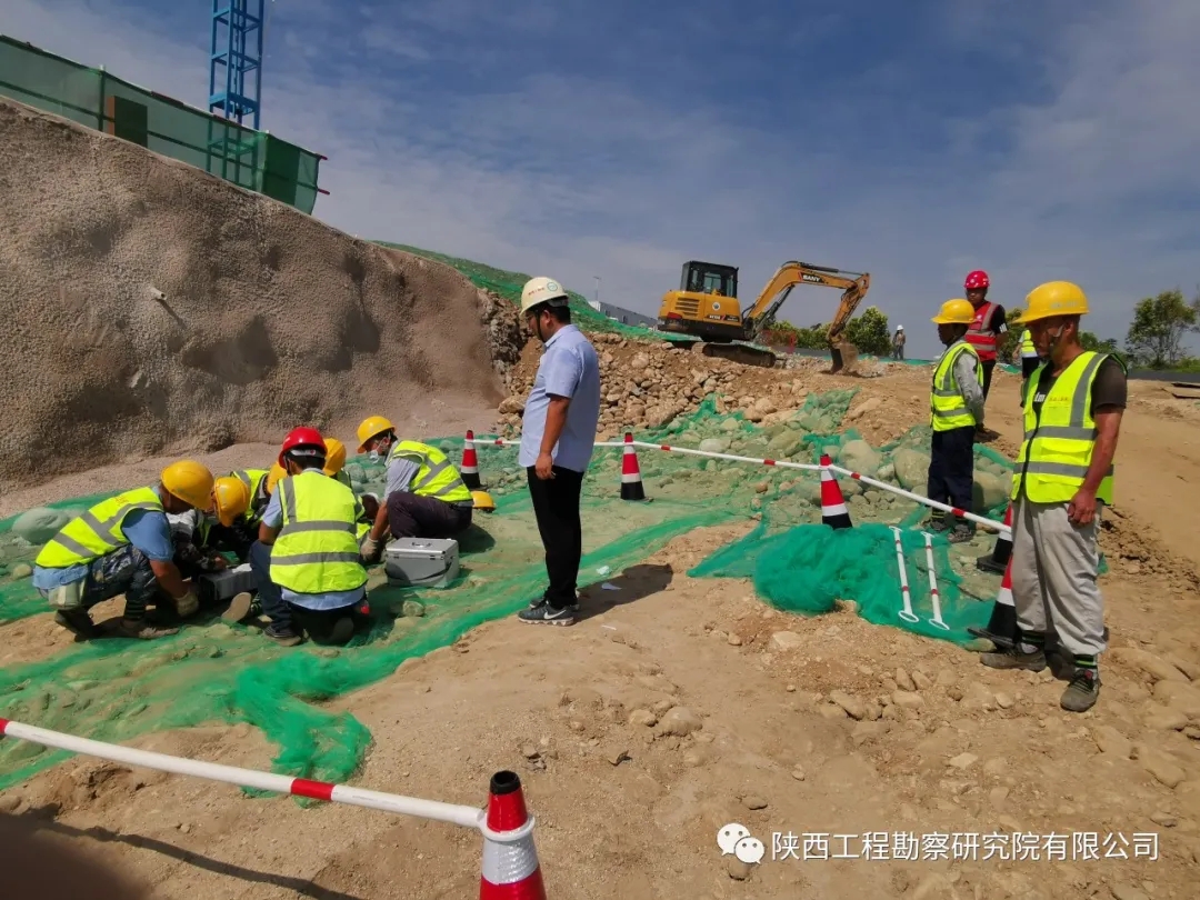 619da42e3d4dd.jpg 640.webp (2).jpg